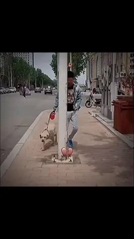 Try not to laugh #fun#funny#funnyvideos#prank#scareprank#fails#foryou#fyp#trending#leanontiktok 