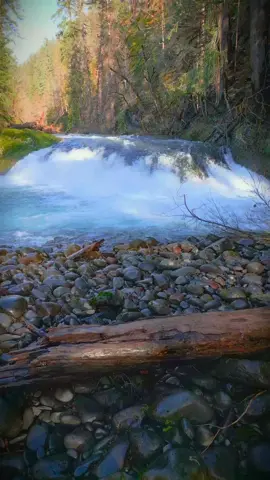 Looking over a fallen log and smooth stones to catch a glimpse of the waterfall beyond 😍 #waterfallchasing #riverscape #relaxing #god #nature #oregonexplored #pnwcollective 