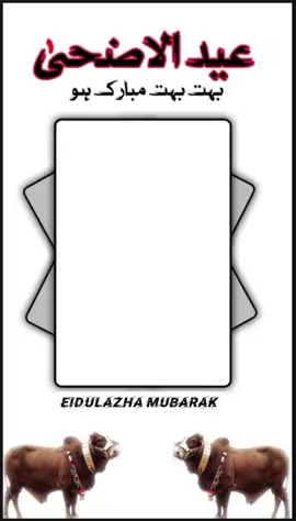 #CapCut #eidmubarak #fyp #foryoupage #eidkikhushiyan #eiduladha #viraltiktok #qurbani 