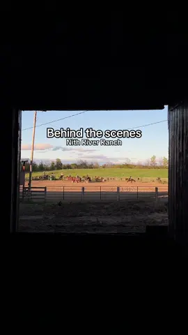 Final photo results at the end 🐴📷  #rodeo #roping #horsesoftiktok #horsephotography #cowboys #rodeophotography #photographybts 