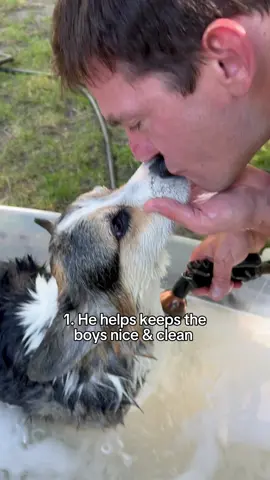 Happy Father’s Day to the best Poppa in the world and to all the wonderful human dads and fur dads out there! 🤗💗 #corgi #dogdad #FathersDay #furdad #corgis 