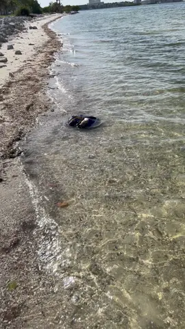 Porquería que esta gente tira en la playa y no les importa ni los niños, ni las familias. Esto tiene que parar. 😱😱😱🌊