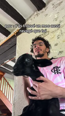 @Saint 🤣