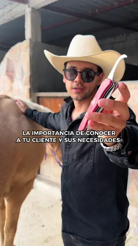 La importancia de conocer a tu cliente y sus necesidades ⛏️🐴 #emprendimiento #negocios #Caballos #Marketing #herramientas 