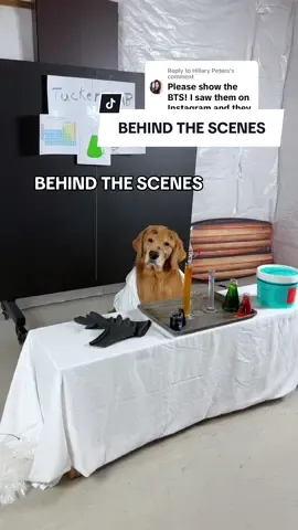 Replying to @Hillary Peters Here is some of the behind the scenes footage! 🎥 
