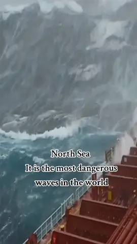 The most dangerous waves in the world 😱#north_sea #ships #Ocean #waves 