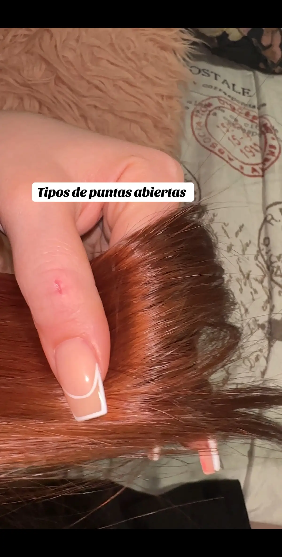 Los 5 tipos de puntas abiertas #hair #haircare #hairroutine #hairtok #viral #pelo #puntasabiertas #pelosano #pelalargo #cabello #cabellosano #pelodañado #cabellodañado #puntasdelcabello #cabellosanoybrillante #cuidadodelcabello #tips   