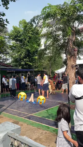 KURBAN GOES WRONG 😭😭😭🙏🏻😭🙏🏻 ena ena dulu gaes sblm di sembelih 👌🏻#fyp #foryou #iduladha 