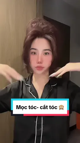1 vòng tuần hoàn của mái tóc phồng 🙈🤣🫶🏼 #deepoil #hairtok #hairgrowth #haircut #chamsoctoc #mielleorganics #dinghaircare 