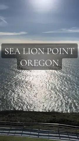 Sea Lion Point Oregon #pacificnorthwest #oregon #naturelovers #soundsofnature #sunnyday #pnw #oregoncoast 