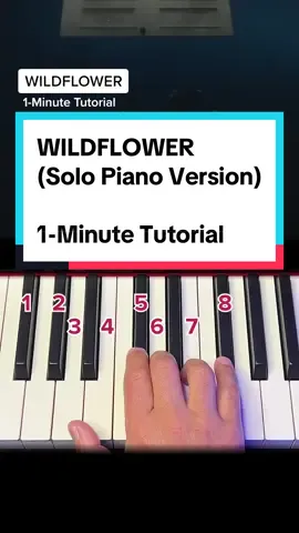 Antwort auf @salah_mrka WILDFLOWER - 1-Minute Piano Tutorial | Solo Piano Version | Billie Eilish #pianotutorial #klaviertutorial #learnpiano #pianolesson #pianochallenge #easypiano 