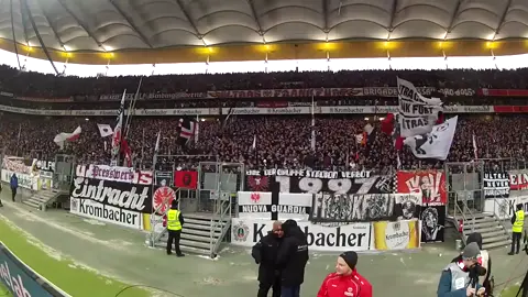 Eintracht Frankfurt - Nur die SGE #eintracht #frankfurt #eintrachtfrankfurt #ultras #fans #fyp #fy 