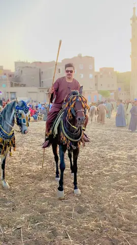 #سوهاج #البلينا #عز #حمدان🖤🐎 