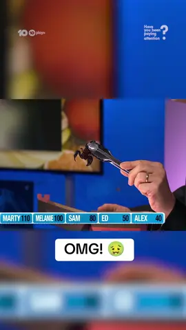 #logies #hybpa #tomgleisner #sampang #edkavalee #melaniebracewell #martysheargold #alexward #aussietv #aussiecomedy #funnynews 