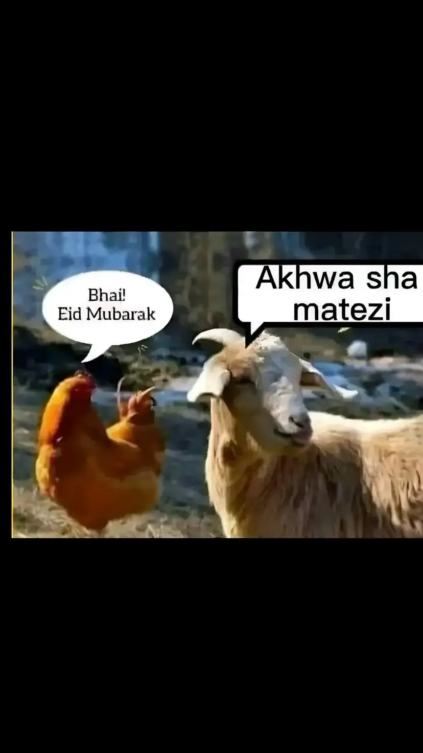 Eid Mubarak😂😂🤍✨#foryoupage #dontunderreviewmyvideotiktok #dontunderreviewmyvi #tiktokpakistan 