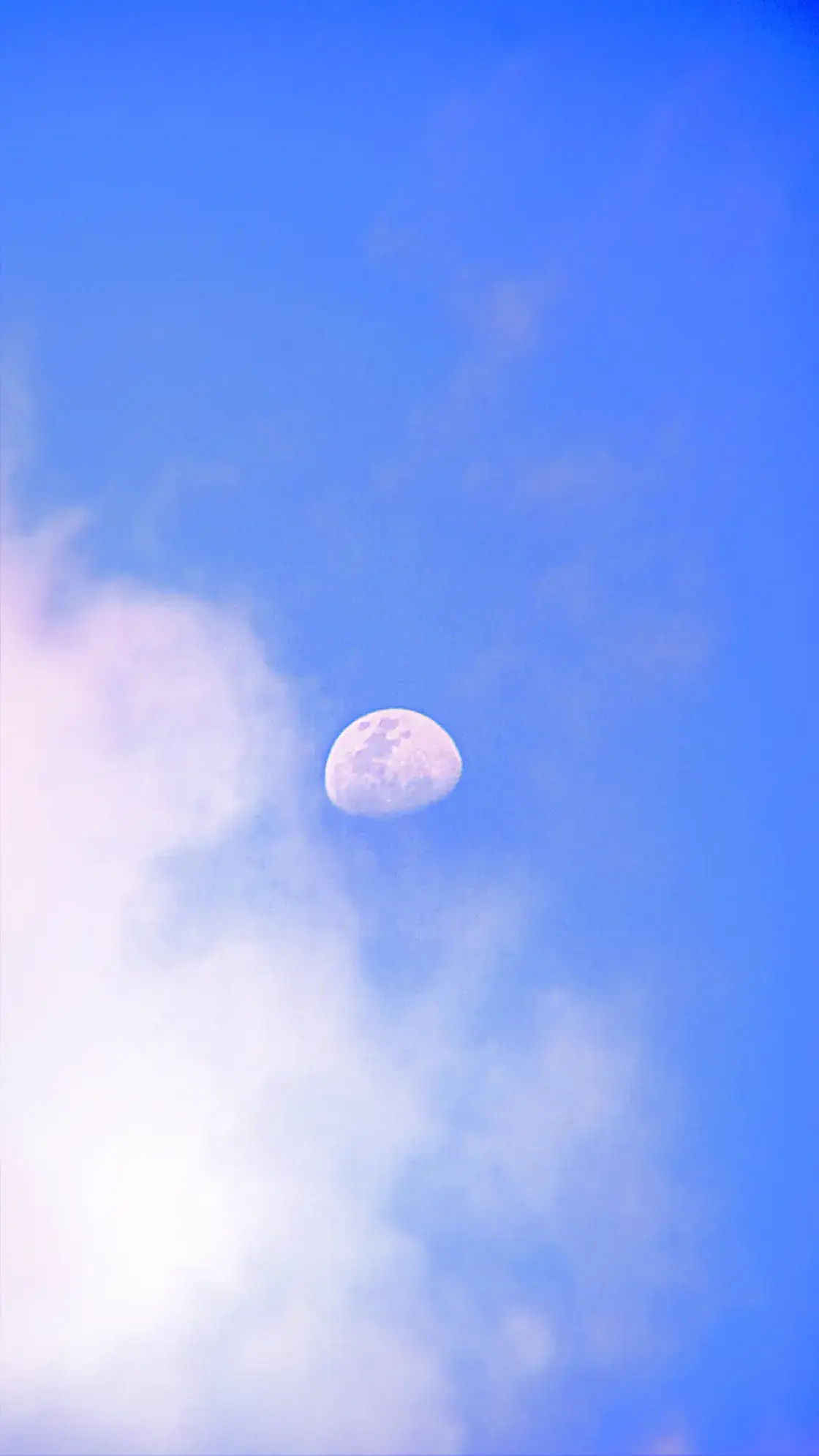 Mengagumi dan mencintai segala ciptakan Tuhan di berbagai suasana dan kondisi, MasyaAllah indah dan cantik langit sore hari ini✨ #moon#bluesky#quarter#🌗#langitaesthetic#sky#skylight#astrophile#selenophile#astronomy#astrophotography#clouds#xyzbca#foryourpage#fy#4u#masukberanda #apexel18xzoom#universe#thousandyears#moonligh#☁️✨