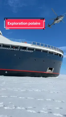 Ma première semaine d’exploration polaire au Nord Est du Groenland à bord du Commandant Charcot 🐻‍❄️🇬🇱 Animaux et activités #voyage #exploration #groenland #ourspolaire #ours #phoque #baleine #omg #decouverte #polaire #ponant 