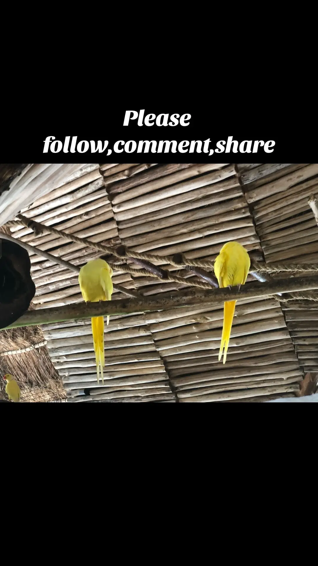 #10k❤️ #teamwork #fypシ゚viral #goals #together 