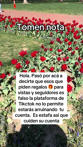 #estafas #fraude #scam #vistas #viral 