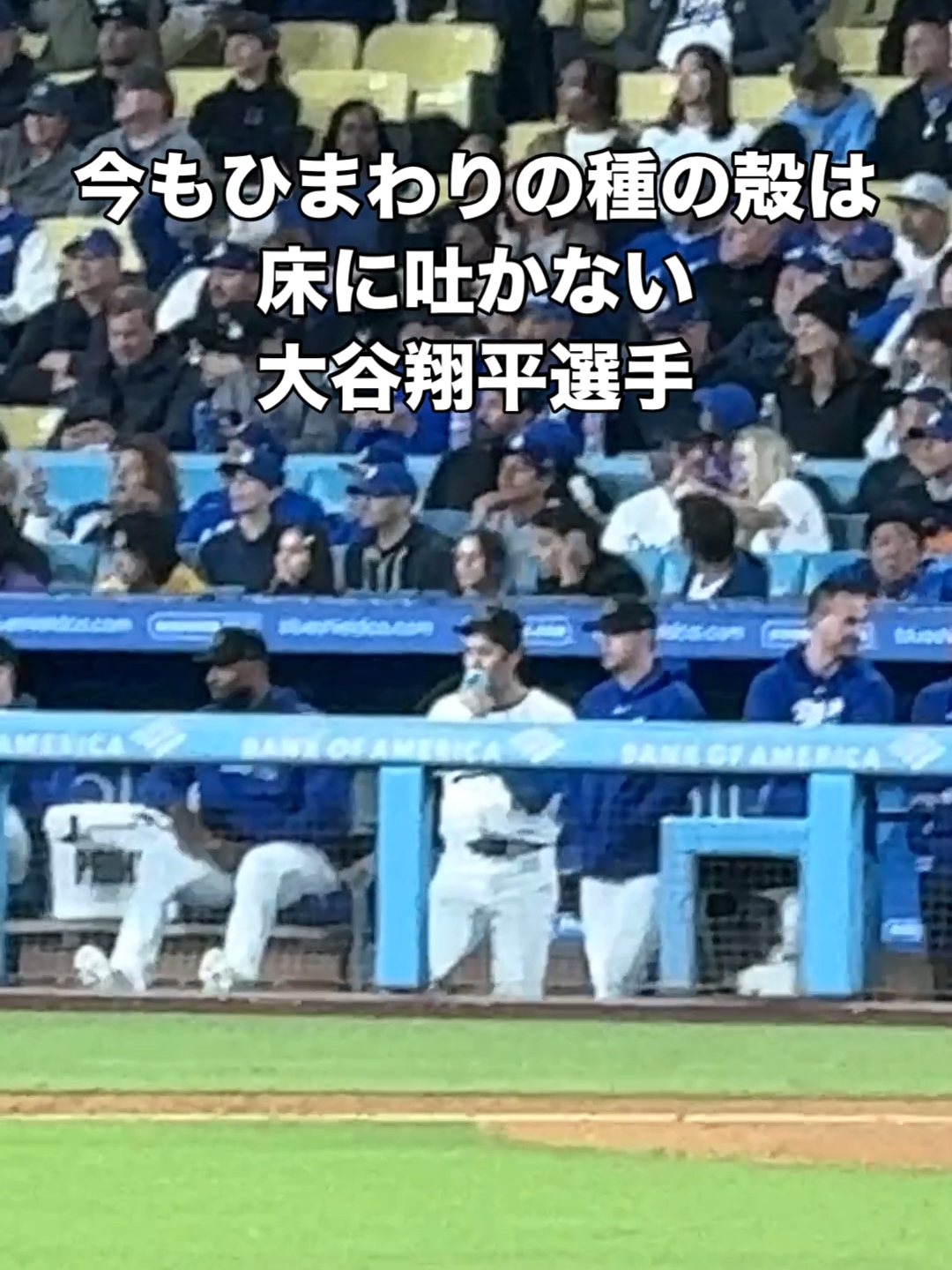 ずっと変わらぬ姿勢ですね #大谷翔平 #shoheiohtani #ひまわりの種 #ドジャース #dodgers