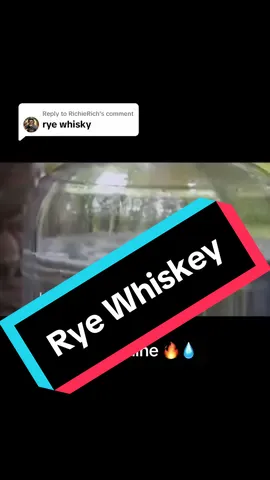 Replying to @RichieRich #moonshiners #ryewhiskey #jimtom #popcornsutton #craftculture #whitelightning 