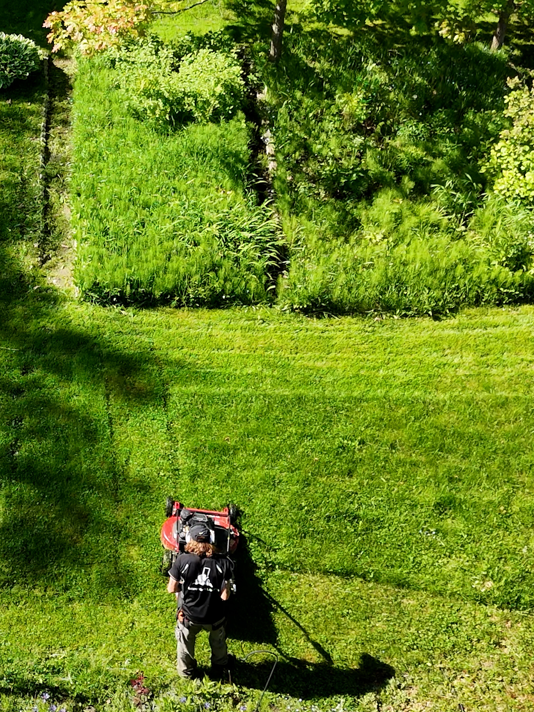 Signing up new customers on the road!🌿💪 #LawnCare #DroneFootage #Neighborhood #NewCustomers #GrassCutting #BusinessTips #behind the scenes #ViralMoments #CustomerService #lawncare #lawnmowing #lawnbusiness #lawnservice