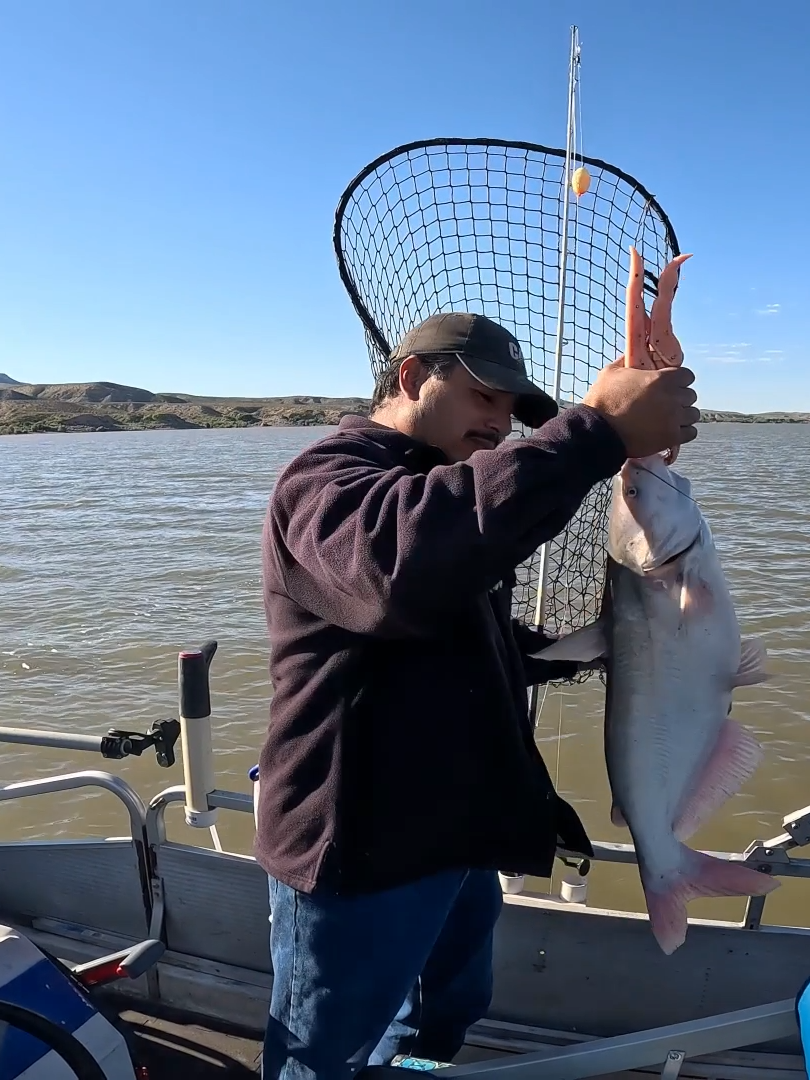 Join me on this fishing trip to Southern New Mexico. We had an amazing time fishing with Kris from @muddyrivercatfishing. See my Hellcat rods in action from @catchthefever_outdoors #fish #fishing #boat #fyp #fishtok