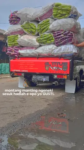 #CapCut peroyongan😅#trukmaniaindonesia #sayurbalap #CapCut #indonesiasantuyy #eltitusiindonesia #l300maniaindonesia #nganjukelsacommuity 