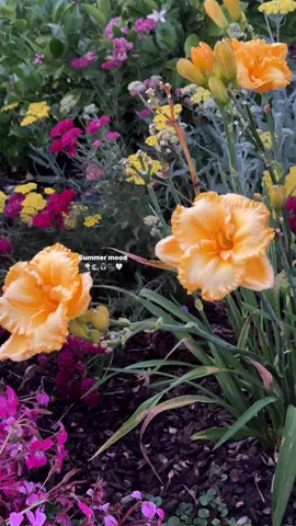 Colorful camera roll all summer long. 💜🩵💛🧡 #sandiego #Summer #summeraesthetic #beachvibes #colorfulaesthetic #flowers #colorfulfashion #OOTD #pinterestaesthetic 