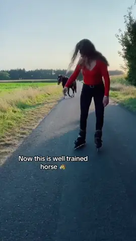 The fact the horse didn’t just run off 🤯🐴 (Via: vandiego.rico) #Equestrian #Horse #HorseGirl #Viral #RollerSkating #AnimalsOfTikTok #HorsesOfTikTok