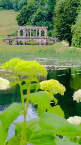 Find joy in the little things ✨🌿🦆 🎞️ @huyenjamin____hailwood  📌 Save for your travels to England 🏴󠁧󠁢󠁥󠁮󠁧󠁿  📍Prior Park Landscape Garden surrounding the Prior Park estate south of Bath, Somerset, England, was designed in the 18th century by the poet Alexander Pope and the landscape gardener Capability Brown, and is now owned by the National Trust. #architecture #gardendesign #englishcountrygarden #unitedkingdom #visitengland #lovegreatbritain #englishcountryside #ducks #fairytale #countrylife #gardening #gardenersworld #dreamlife #countryliving #travelguide #simplelife #gardenphotography #fairycore #Lifestyle #life #history #visitbath #fairygarden #travelblogger #travelguide #beautiful #peacefulmind #summerlook #england  #lifestyle #placetovisit 