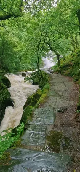 An often overlooked place, just off the start of the Llanberis Path 💚 #ceunantmawrwaterfall #llanberispath #llanberis #waterfall #northwales #Wales #walestiktok #visitwales #uk #greatbritain #fairytale #woodland #relaxing #fyp 