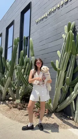 roxy is a paid actor  #summeroutfit #multipoo #hgw #outfitoftheday #summerinspo #SummerFashion #jorts #pleasepleaseplease #sabrinacarpenter #trendyoutfits #summeressentials #bargain #loafer #veststyle #summerstyle #fitcheck 