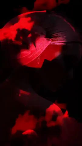 #المصري_فن_العرب_لو_قللي 