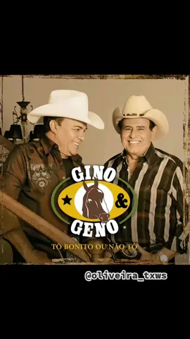 Gino e Geno ( EU VOU BEBER VENENO) #sofrencia #🤠🤠 #music #💯💯 #modãosertanejoraiz #💚💚💚💚 #agropecuaria #agronomia #antigo #country #tiktok 
