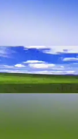 #CapCut #fyp #fypage #coconut #happybday#happybirthday #birthday #tree #windows #background #funny #meme #comedy #halarious #idk #tiktok i dont even know any more