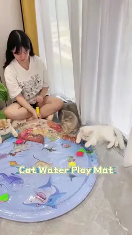 Sensory Water Play Mat for Cats, Cat Water Play Mat. 🌊🌊😻#cat #catsoftiktok #PetsOfTikTok #pet #cutecat #kitten #funny #catlover #fyp 