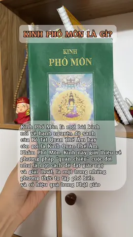 Kinh phổ môn #fyb #thinhhanh #xuhuong #phatphapnhiemmau🙏🙏🙏 #tieutrunghiepchuong #nhanqualuanhoi #phatphapvobien #kinhphomon 