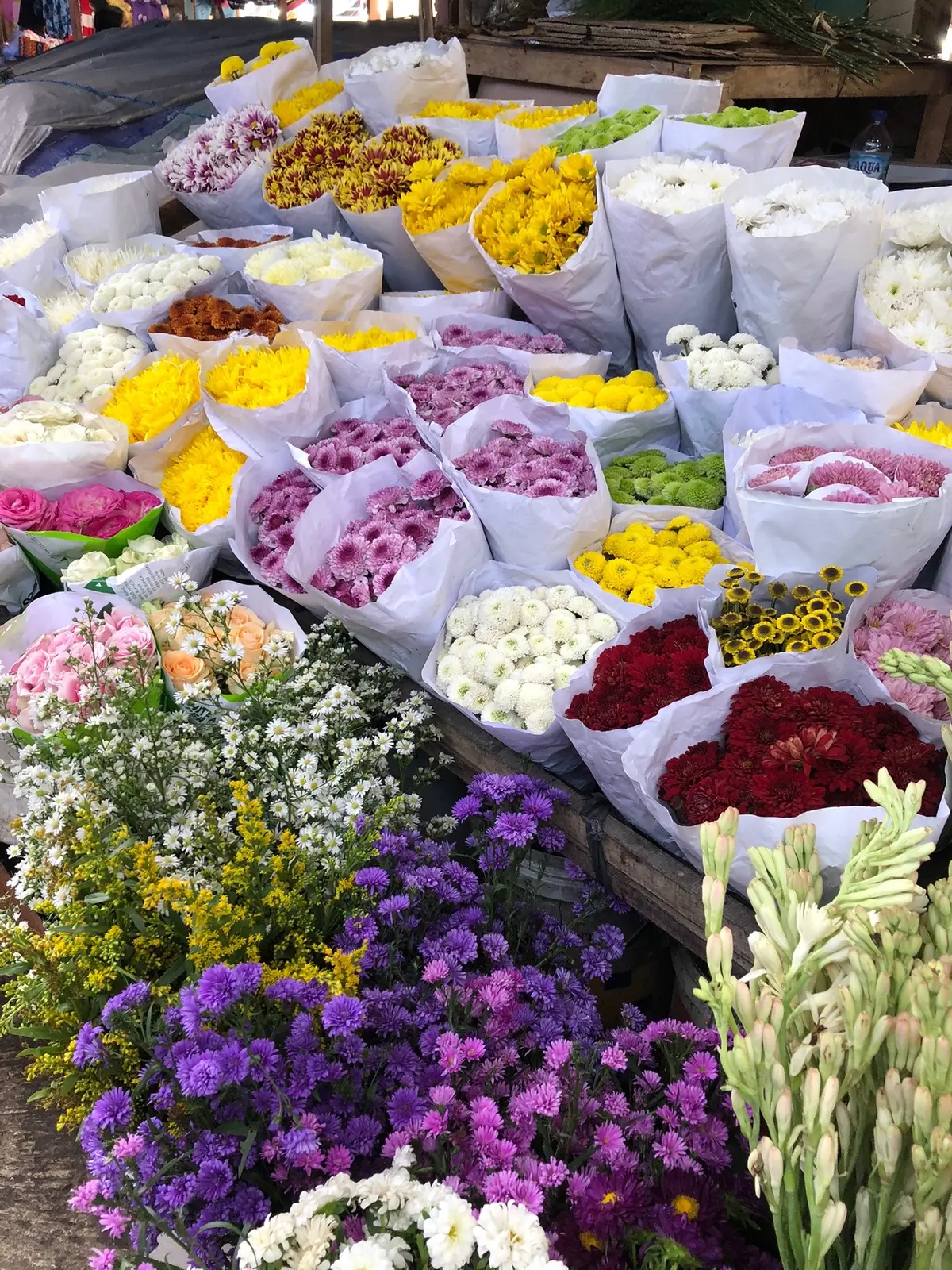 Hay guys .. untuk kalian pencinta #freshflowers sekarang gak perlu jauh ke bandungan.  Di salatiga juga ada loh.. !  Loc. Pasar raya 2 salatiga  Bunganya cantik-cantik.. buat fotopun juga cakep bet😍 kalian bisa request bunga sesuka kalian. Harga mulai dari 10rb ajah loo..  #fyp #salatiga24jam #salatiga #floristsalatiga #tokobungasalatiga #salatigahits #lewatberanda #fypシ゚viral #foryoupage 