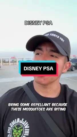PSA, don’t come to Disney looking like a snack. 😮‍💨😂 no but really is anyone else getting eaten alive?? This is why I dislike summer 🙄🦟 #disney #disneyland #mosquito #disneyparks #disneyresort #disneylandresort #distok #disneytok #disneypsa #disneytips 