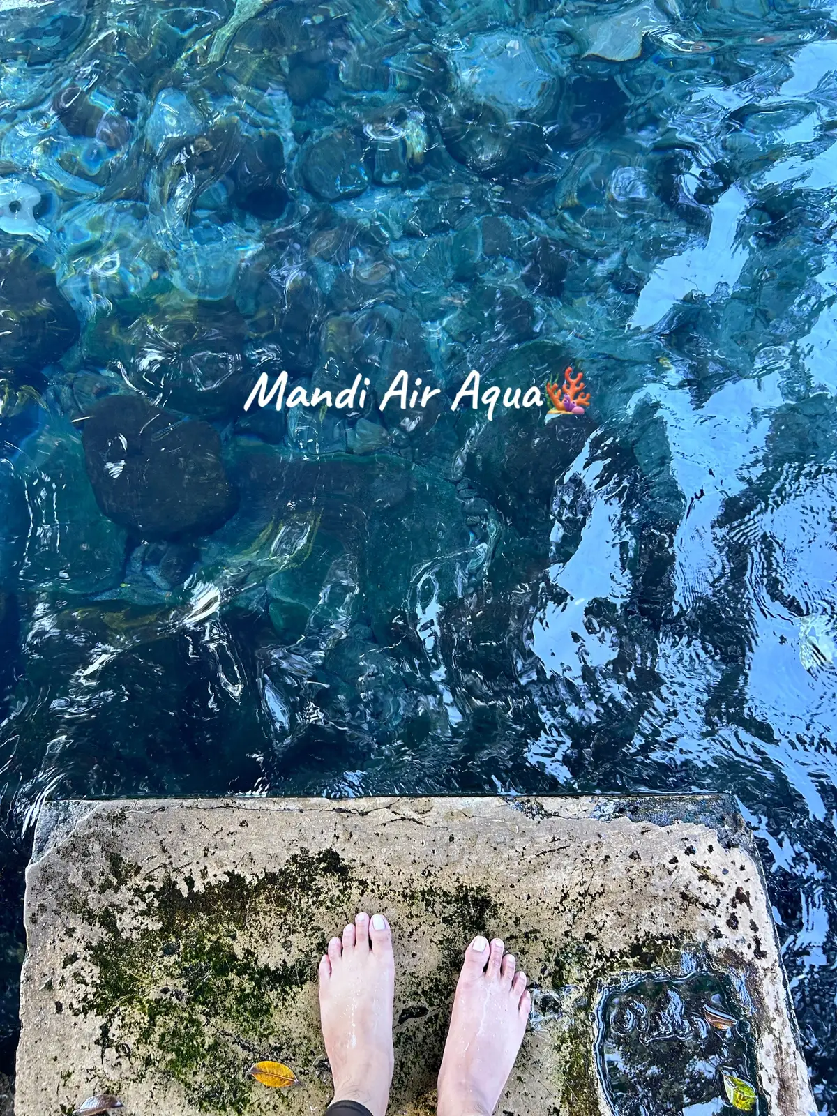 Mandi air aqua🫧 #umbulsigedang #umbulkapilaler ##umbulsidomukti #umbulmanten #umbulklaten #umbulponggok 