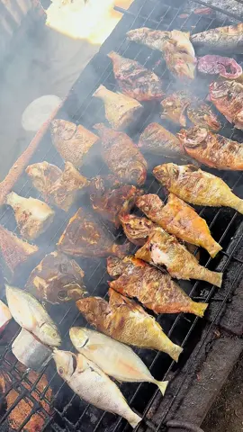 Pantai Ammani ADE CAFE #ikanbakar #pantaiindah #wisatapantai #kuliner #ammani #pinrang #sulsel #fyp #viral 