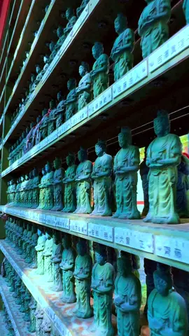 京都大原三千院と歌に出て来る寺院がまさしくココが『三千院門跡寺院』です。この時期わ紫陽花が色鮮やかに咲いていました✨✨✨ . . . #京都 #人気スポット #推し #エモい #CapCut #iphone15promax 