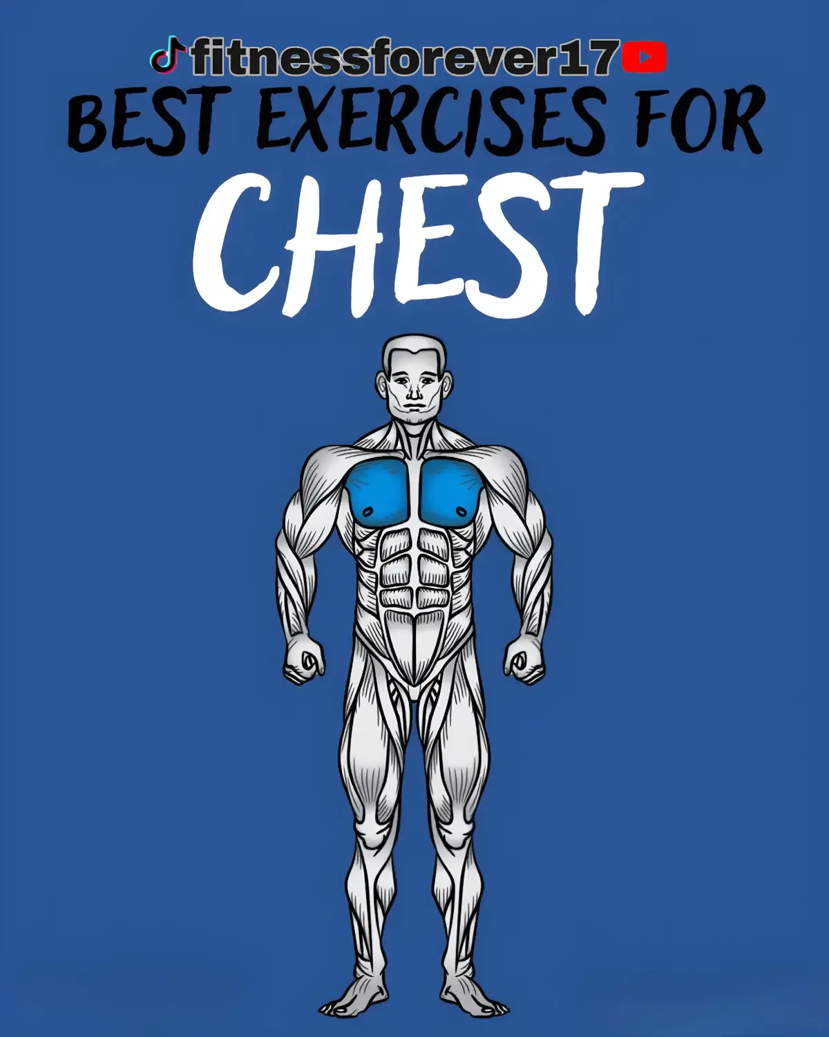 CHEST EXERCISES. . . . . #Fitness #gym #workout #fitnessmotivation #fit #motivation #bodybuilding #training #health #fitfam #healthylifestyle #Love #Lifestyle #GymLife #gymmotivation #sport #instagood #healthy #muscle #personaltrainer #crossfit #fitnessmodel #exercise #weightloss #fitnessjourney #fashion #instagram #wellness #model #yoga 