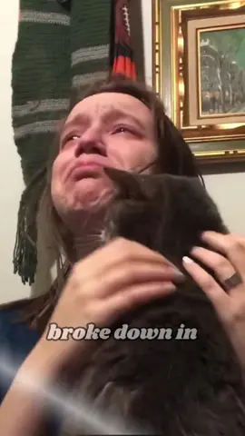 Touching cat #cat #usa🇺🇸 #healing #cute #animals #foryou #story #fyp 