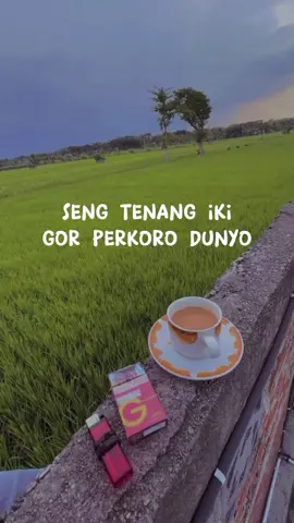 #CapCut #CapCut #fyp #jowopride 
