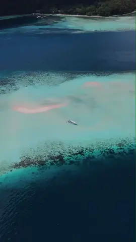 Pasir Timbul in Raja Ampat Island, Southwest Papua, is a secret beach that emerges from the sea during low tide. 🏝️  Literally translated as 