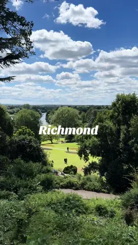 Richmond is one of London’s most attractive boroughs, full of picturesque green spaces, rich history, shops, boutiques and restaurants. It also boasts the longest stretch of the river Thames and is worth a visit, especially this summertime! 🛍️🌳🚣☀️ Did you know Richmond is only a 493 or 419 bus ride from uni? 🚌 @studylondon   #WeAreUR #StudyLondon