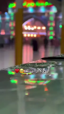 کربلا میری جنت 🩷🌹🚩🩷