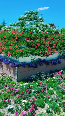 #قونيا________________قونيا😌💙 #،🤩😘🥰🤗♥️ #🦋 #حديقه #فراشه 